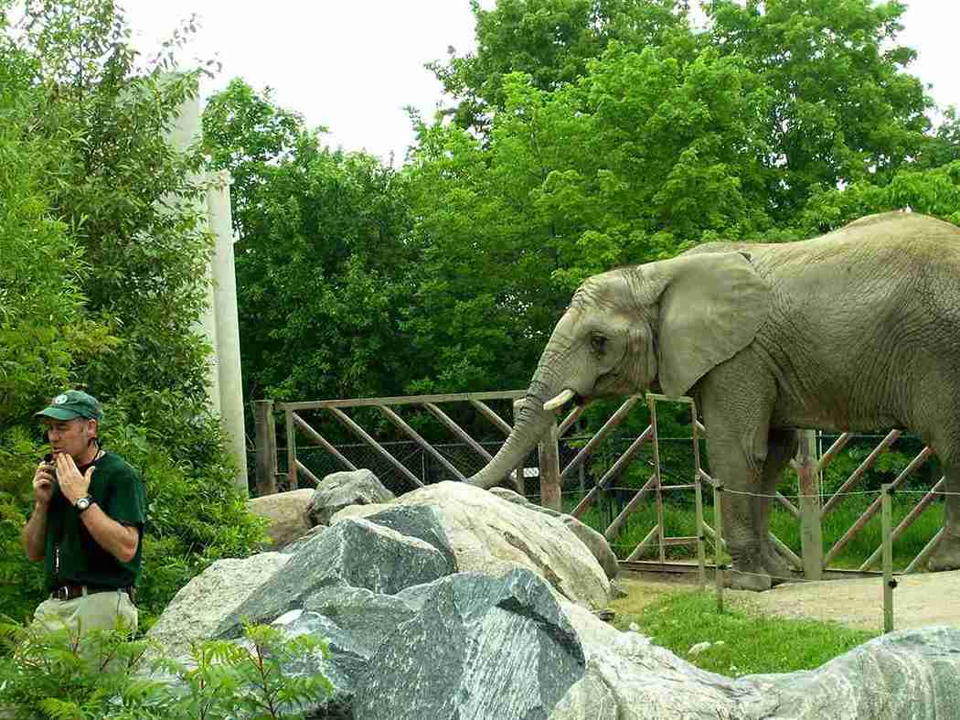 Eleogant Tube: A Brilliant Gateway for Elephant and Castle