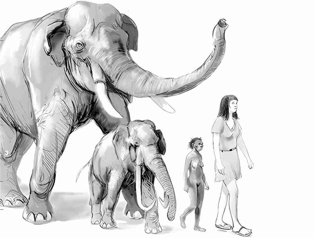 The Eleogant Tube at the Heart of Transformation 