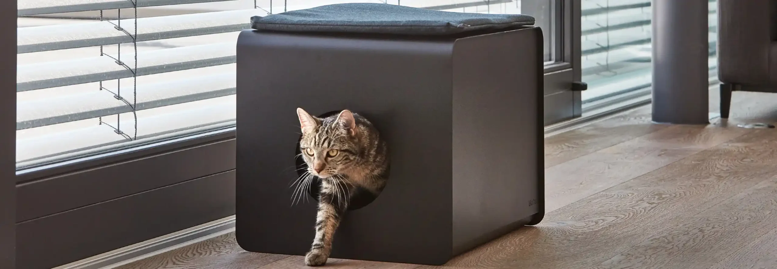 Slylar Box: Stylish Cat Litter Box Cover for Modern Homes