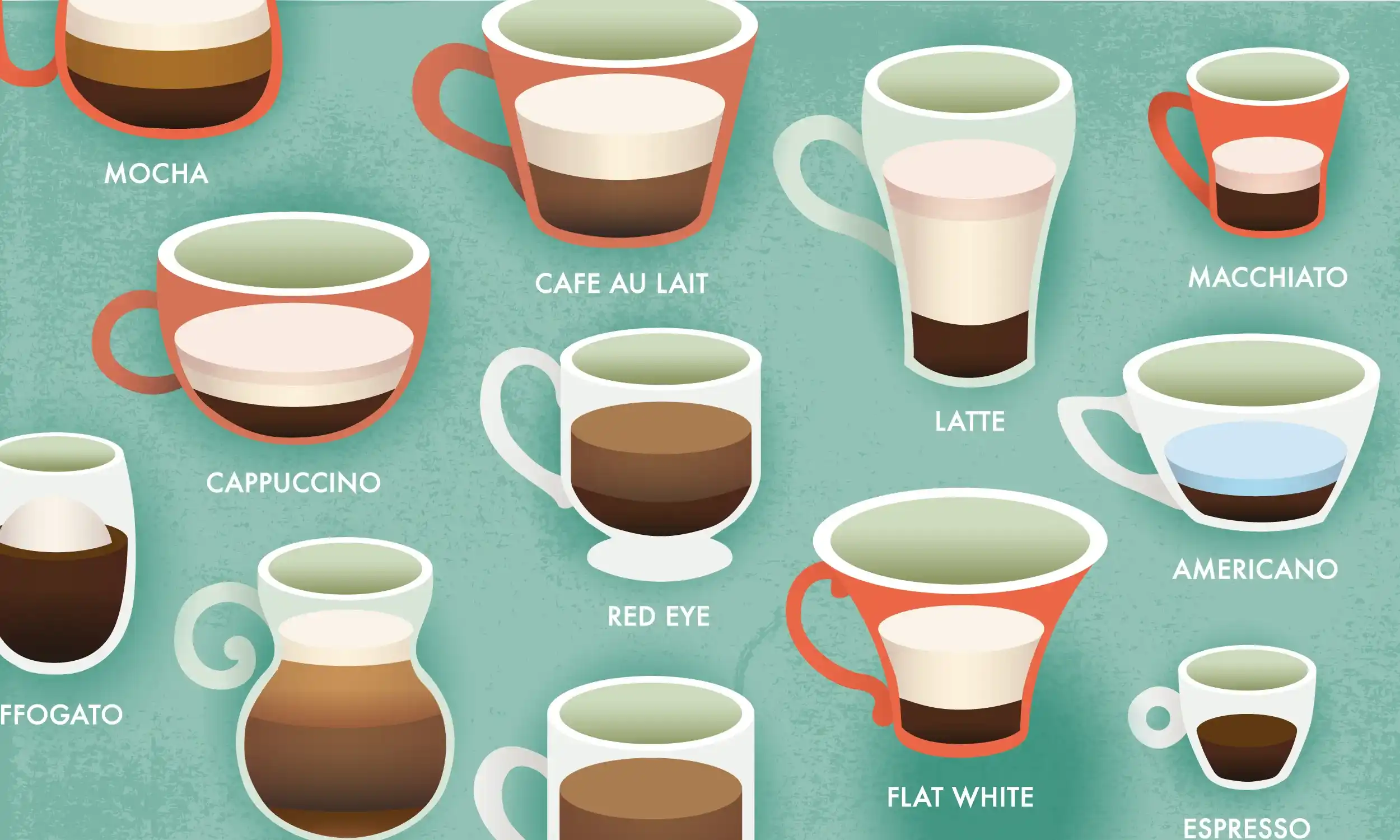 What's the Difference Between Cup Types?