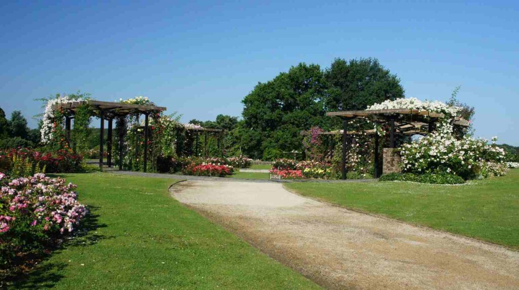 Casa de Campo & Rose Garden