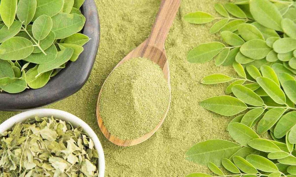Choosing the Best Organic Moringa Powder