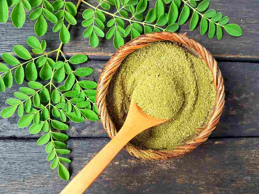 Moringa Powder Benefits for Daily Use