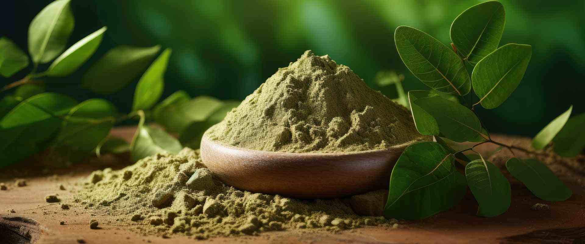 Moringa Powder: The Amazing Superfood for Daily Energy