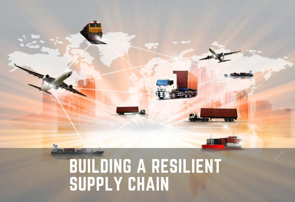 Building a Resilient Supply Chain with PLG Supplies