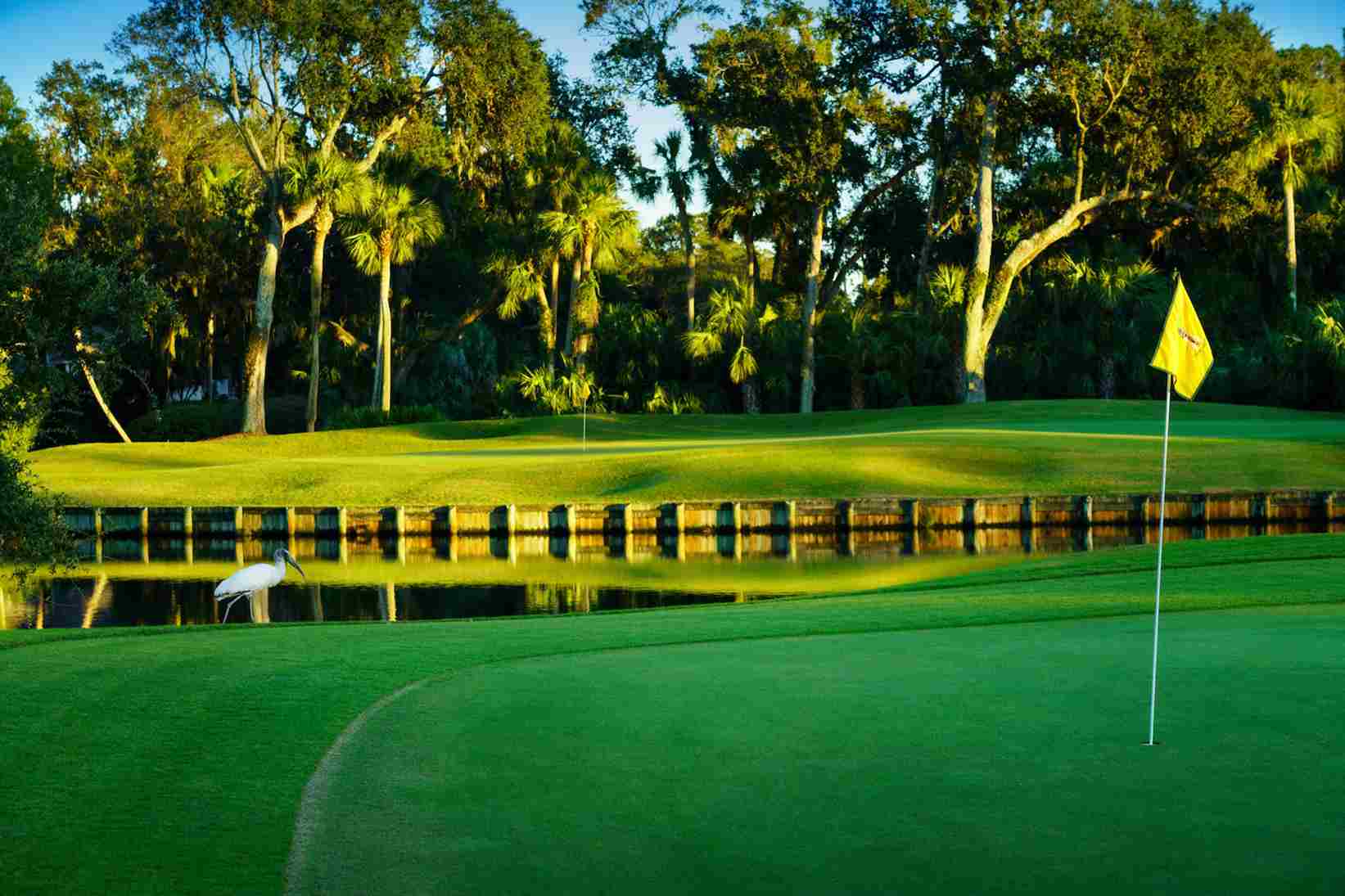 Top Golf Courses in Hilton Head – Championship Play