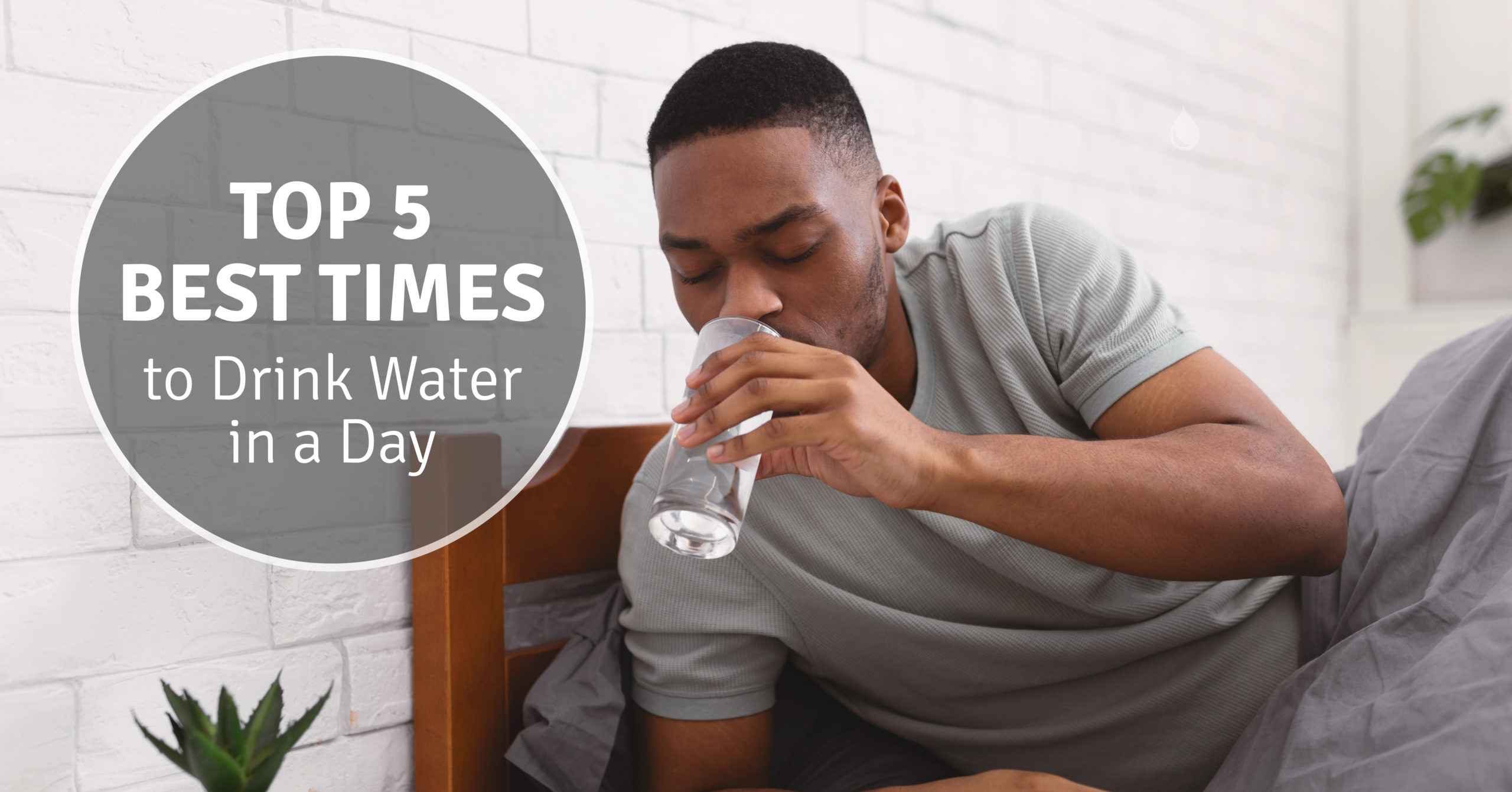 Best Time to Drink